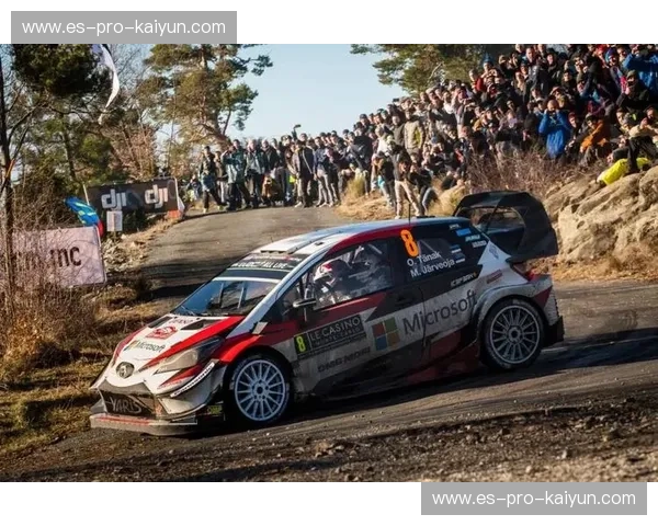 体育直播版权资讯：如何抓住行业机遇，赢得市场竞争