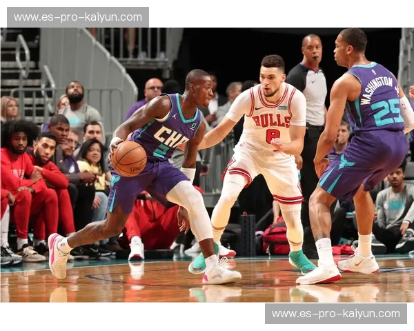 美记赞彼总为黄蜂组天赋10人：未来五年10首轮+12次轮 崛起在眼前